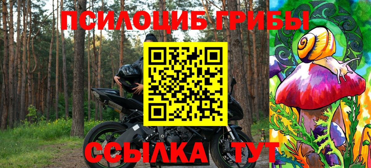 Псилоцибиновые грибы мухоморы  Вход с VPN  Партизанск  Псилоцибиновые грибы GOLDEN TEACHER 
